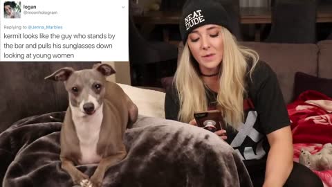 Reading Mean Comments About My Dogs