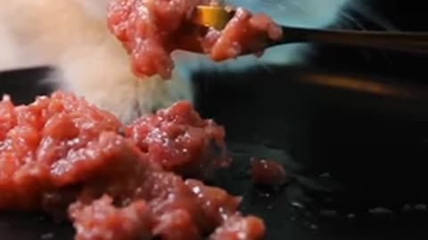 Cat eating
