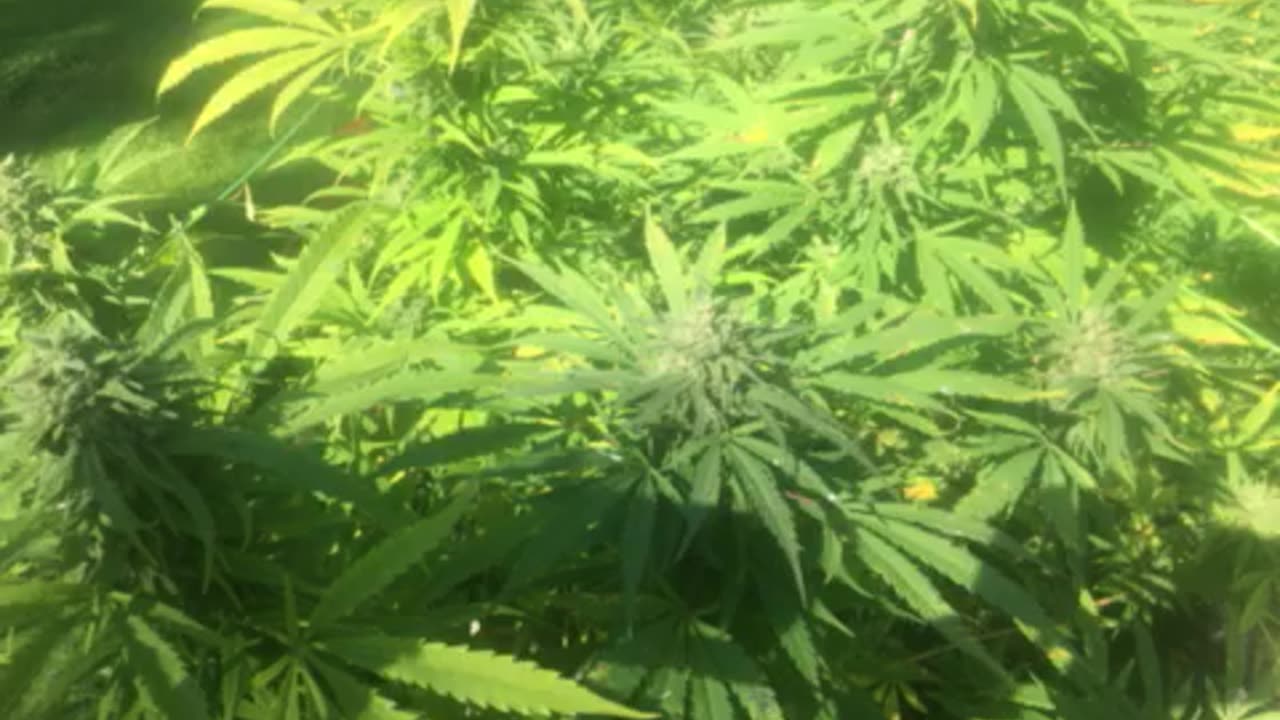 Today: we the people don’t know what we don’t know p 3