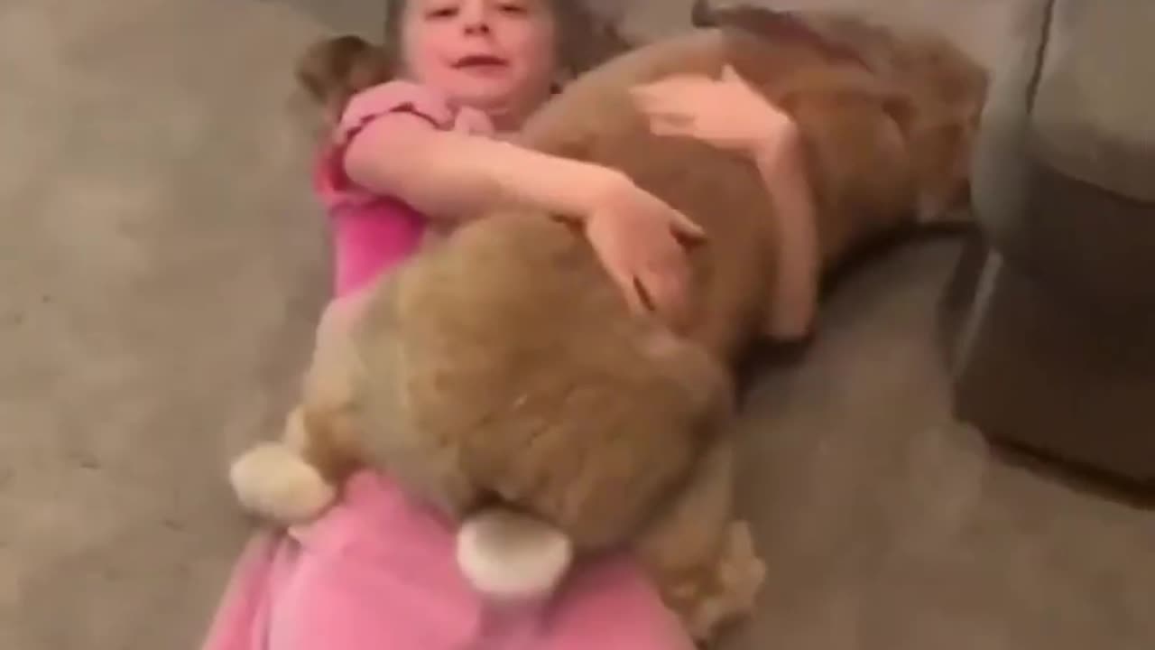 AWW Animals So Cute! #cute #animals #awww #sooo #animals #cat #dog #tiger #compilation 17