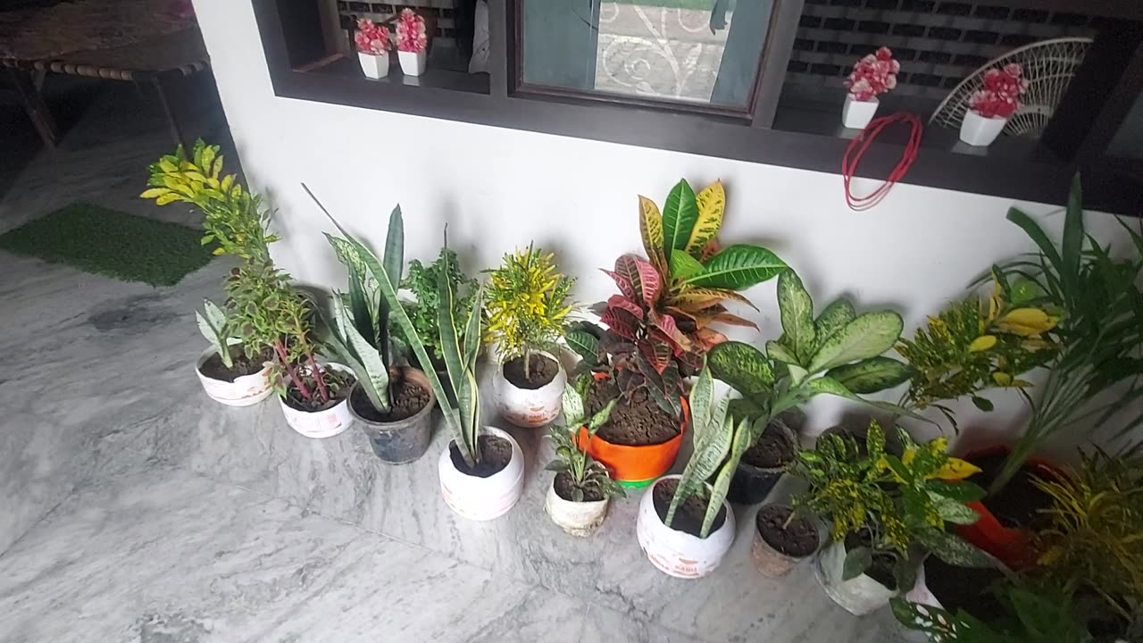 Garden video
