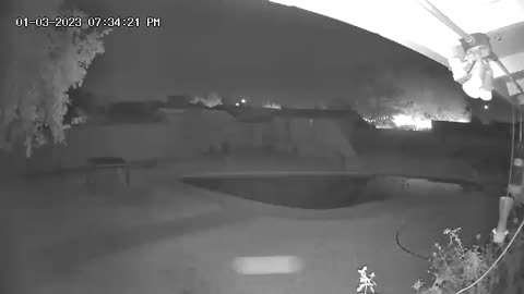 Illegals are great. They set off illegal fireworks