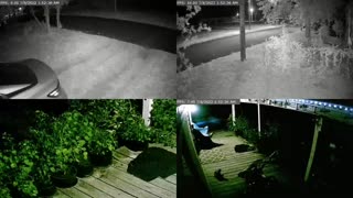 AwShuxs Studios - Live Camera Stream