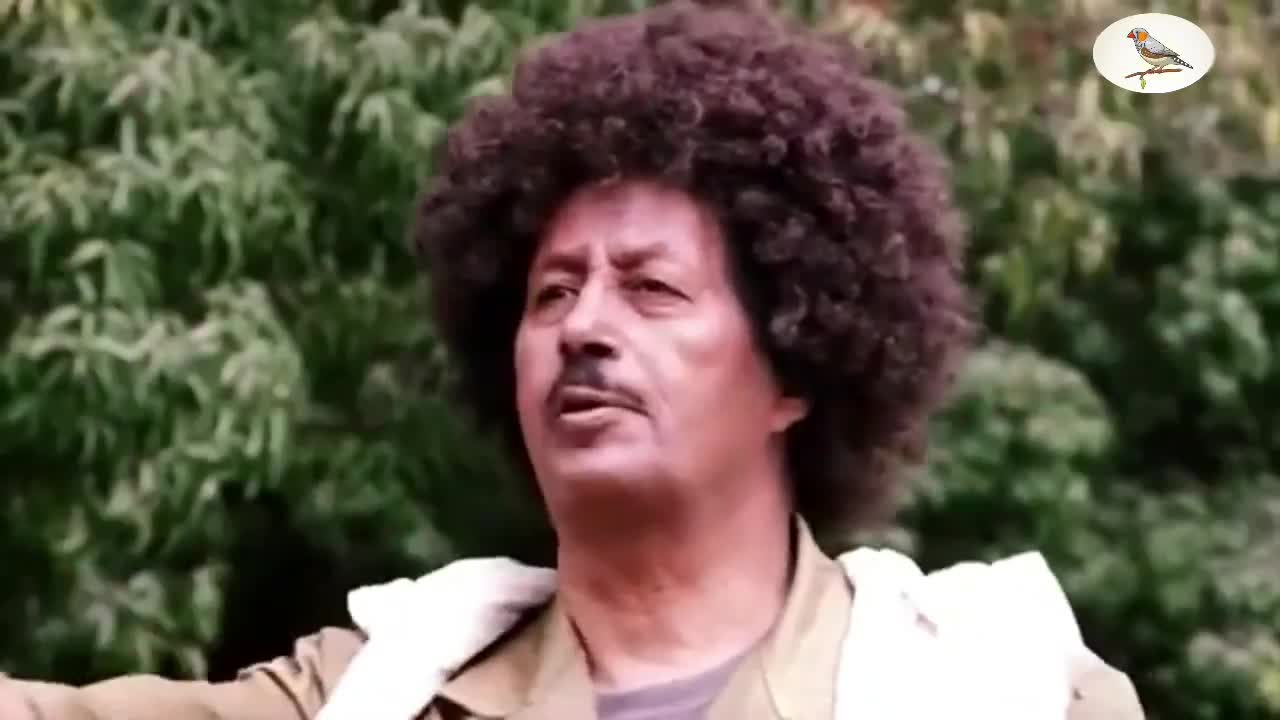 Eritrean music Bereket Mengsteab መለይ