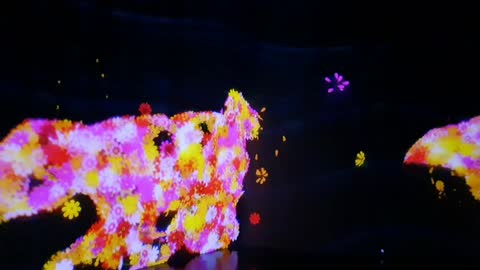 teamLab:LIFE exhibition 12