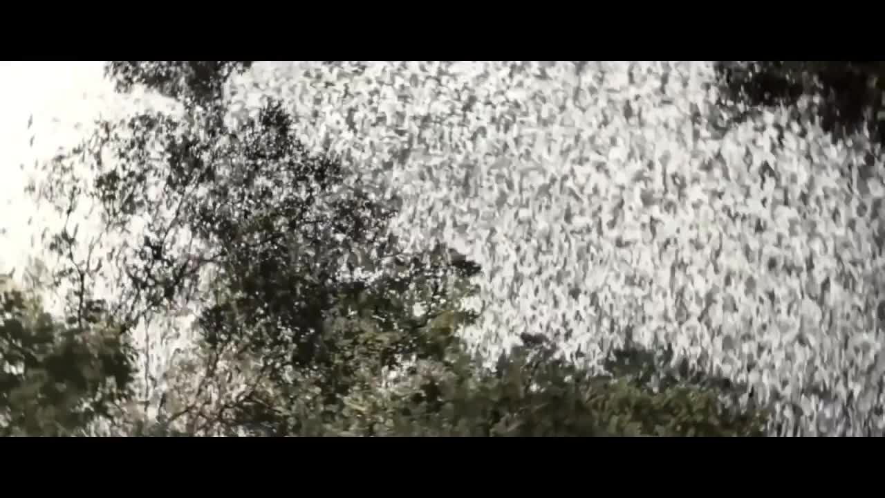Kong refuses Ghidorah’s call - Godzilla_ King of the Monsters_ fan edit