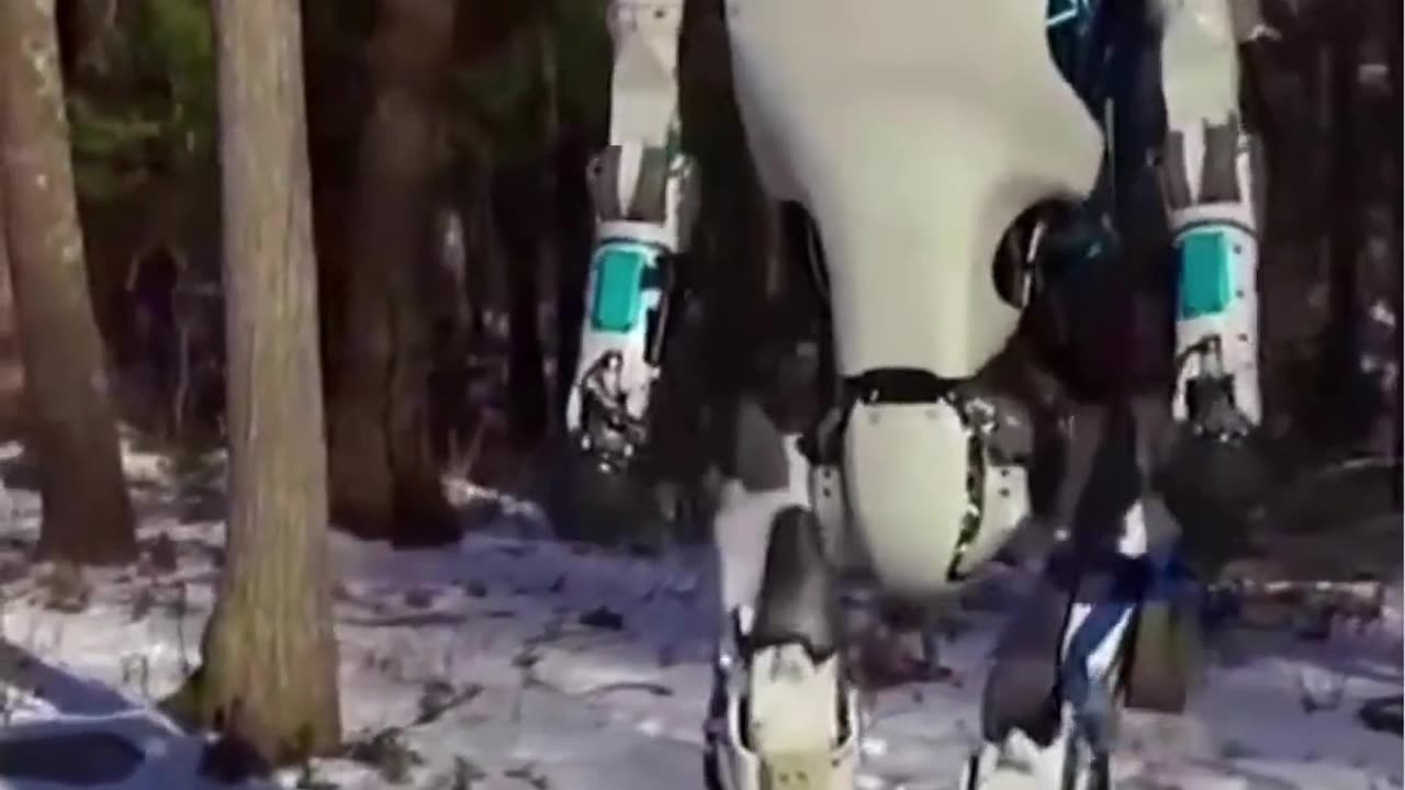 Do You See It?