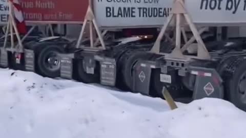 If Stock is Low Blame Trudeau.