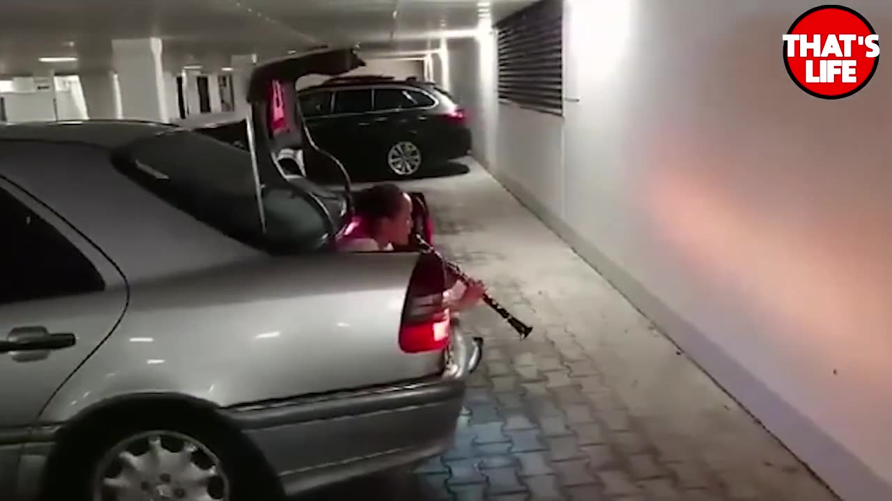 Parking FAILS Compilation 🚗