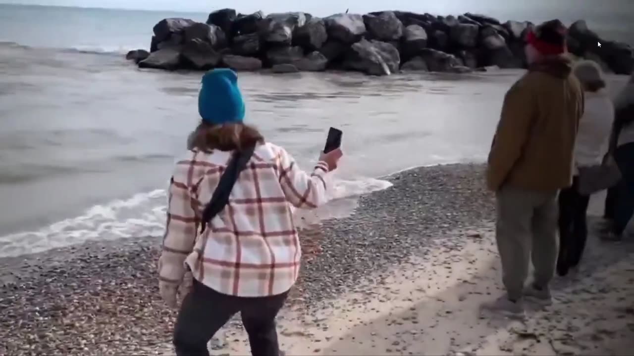 Distraught Karens gather at Lake Michigan for a Collective Primal Scream.