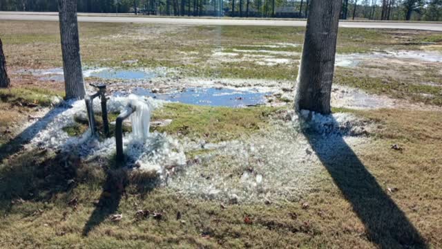 The great Louisiana deep freeze