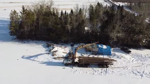 Load Of Logs In The Wood Yard! Time To Make Money!!