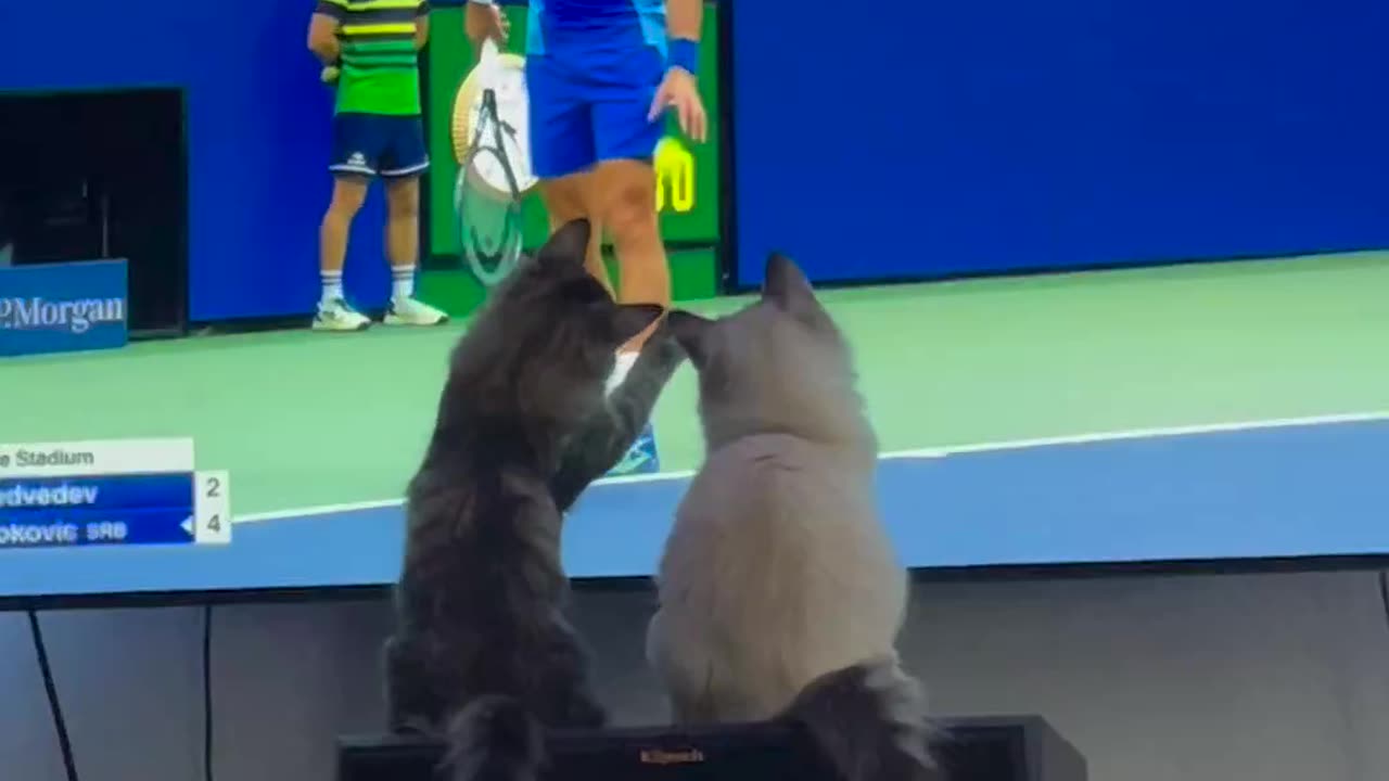 Give me the ball๐๐