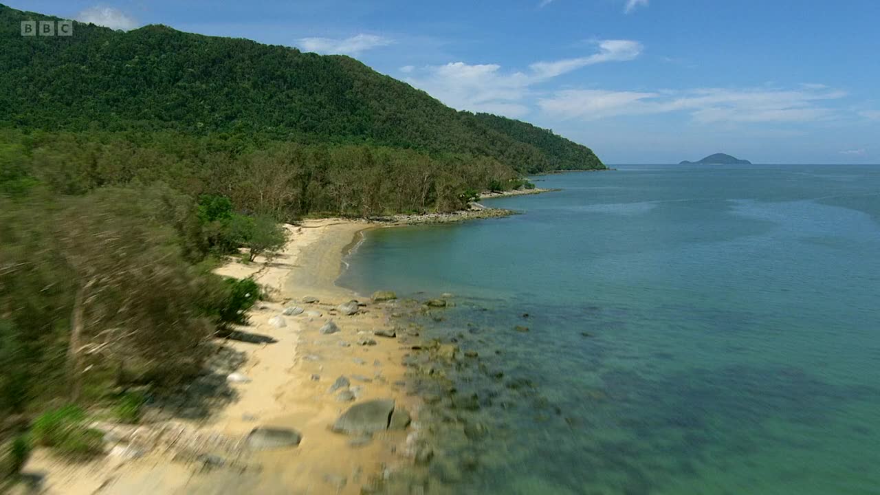 Great Barrier Reef, Reef to Rainforest