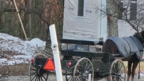 MENNONITE NEIGHBORS BUILDING A BAKERY TWO HOUSE DOWN FROM US