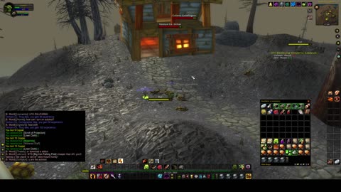 Turtle Wow - The adventures of a hard skinned goblin warlock - no commentary - E1P4