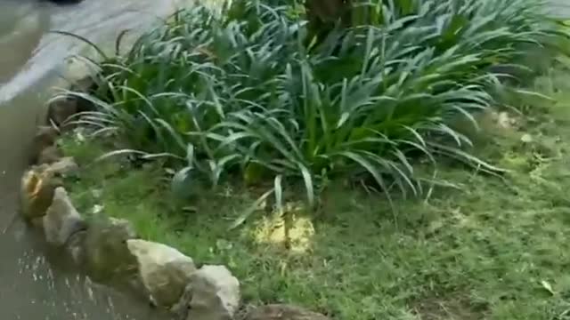 Semoga kita selalu dalam lindungan ALLAH SWT