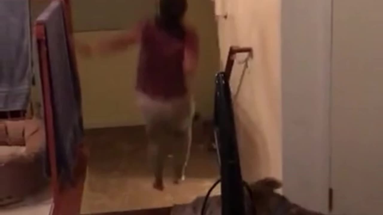 chick does prank for dog then has epic fail.