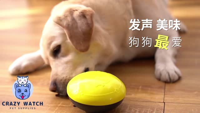 dog food toys