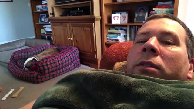 Dog Has A Loud Reaction When His Couch Privileges Are Denied