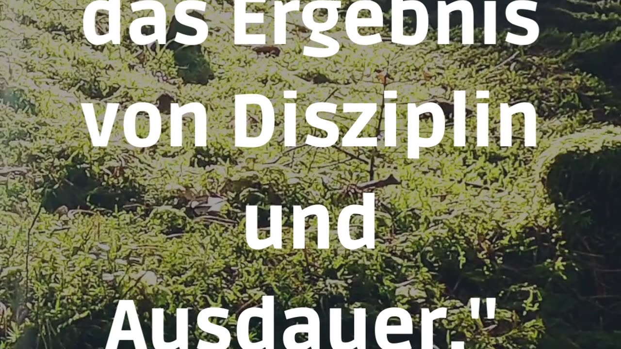 Motivation und Disziplin