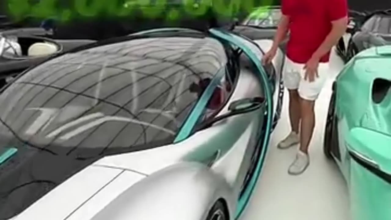 100,000,000$ Car Door