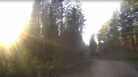 Viisauden suuri nollaus - Indy Angel