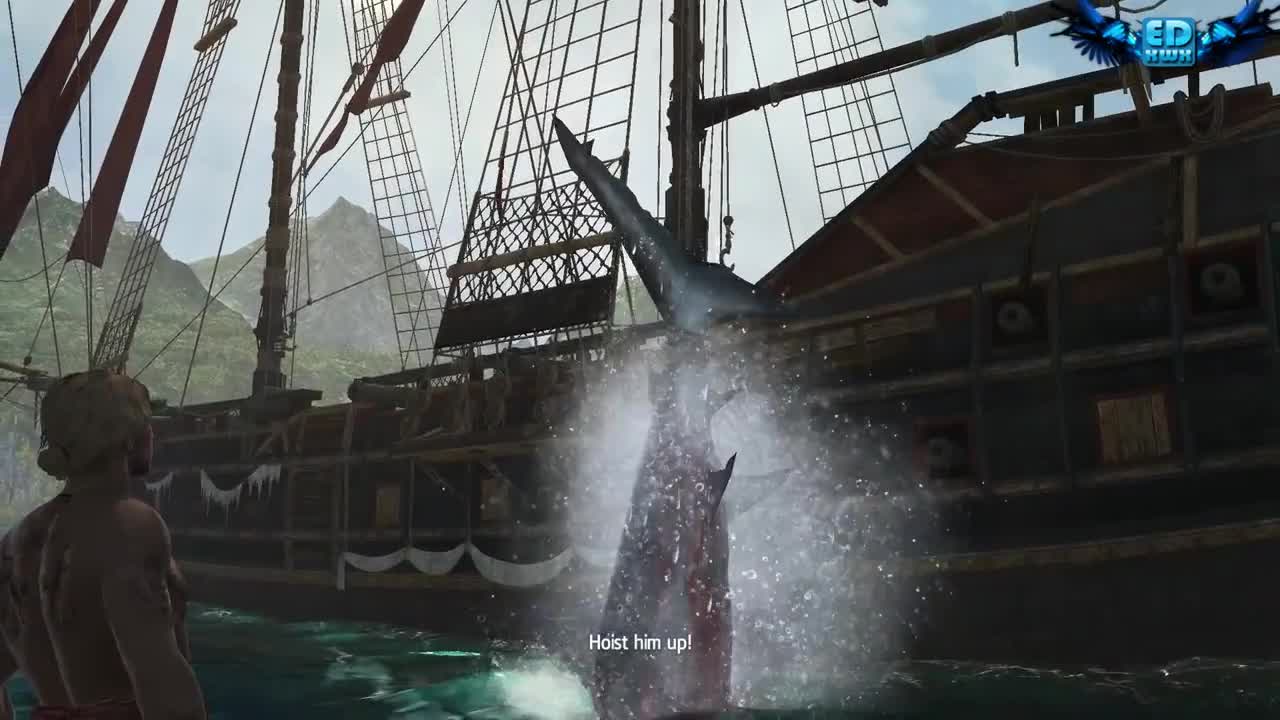 Assassin's Creed 4 All Harpooning Activities & The White Whale ( Moby Dick )