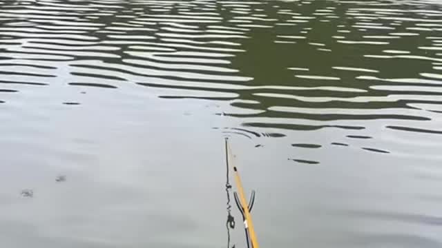 Fishing