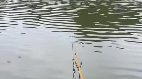 Fishing