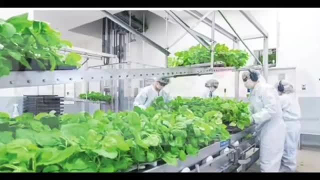 Evil mRNA Planned to Be In All Food Sources