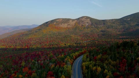 Autumn Fall Aerial