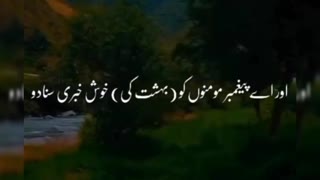 Quran translation