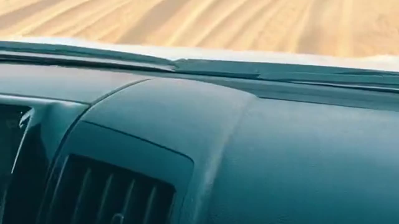 Deseret safari Driving