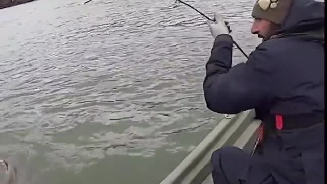 like this pulls a fish weighing 250KG😱