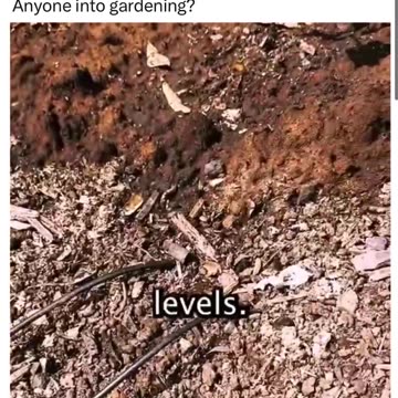 Anyone into gardening?