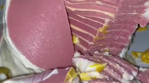 All kinds of food making tutorials