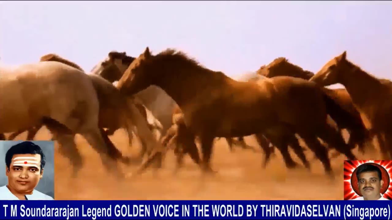 Old Is Gold (evergreen) T M Soundararajan Legend Vol 238 Horse Song 11