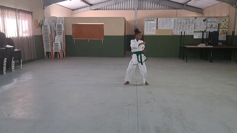 A16 - Petronella van Heerden - Green - Pinan nidan