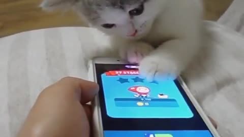 Meow Planet Adventure: Meow Madness