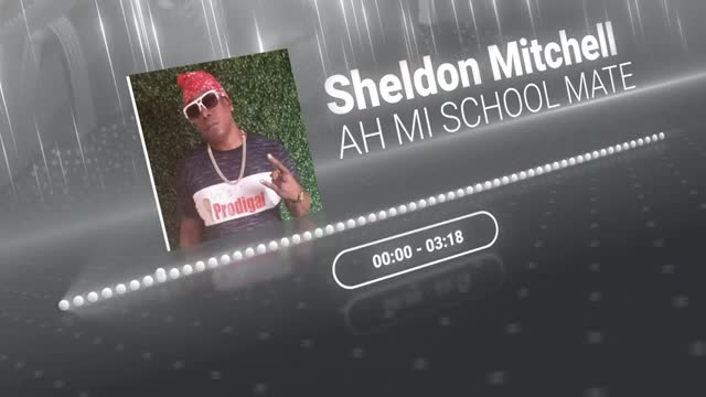 Sheldon Mitchell