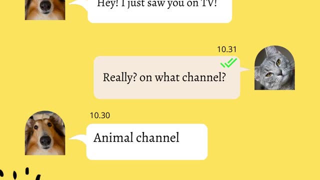 Paw Chat