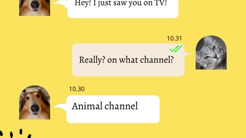 Paw Chat