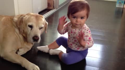 Baby girl plays with yellow Lab