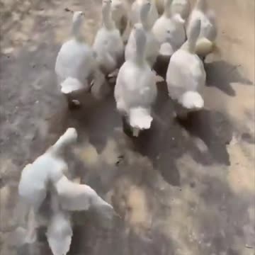 There is always this ONE in the group!