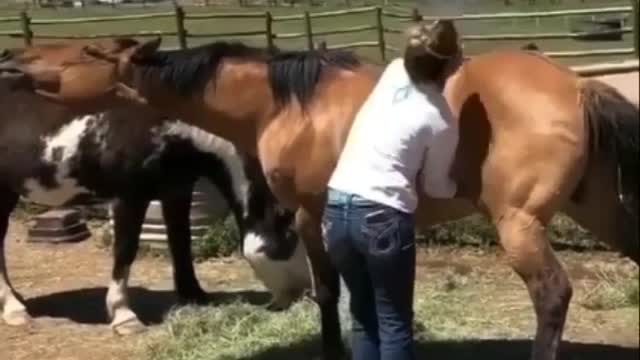 #R🐎😂😂 - - Follow @earthmood - - Via @modling_2020