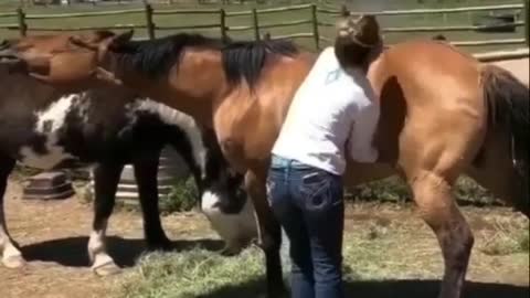 #R🐎😂😂 - - Follow @earthmood - - Via @modling_2020