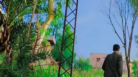 Gar may taky Ki izat Nahi funny video 🤣