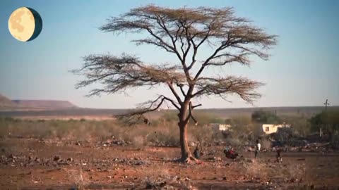 Anton Von Wietersheim is chairman of the Discussion Circle of German-speaking Namibians