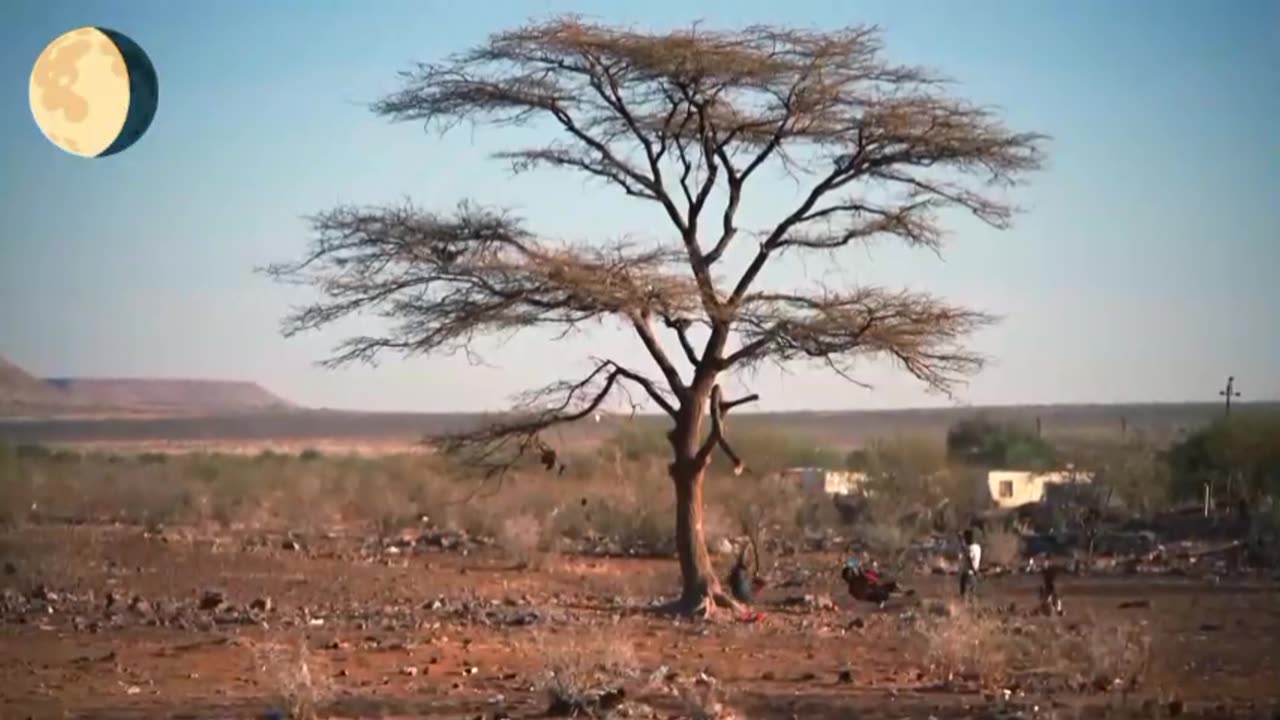 Anton Von Wietersheim is chairman of the Discussion Circle of German-speaking Namibians